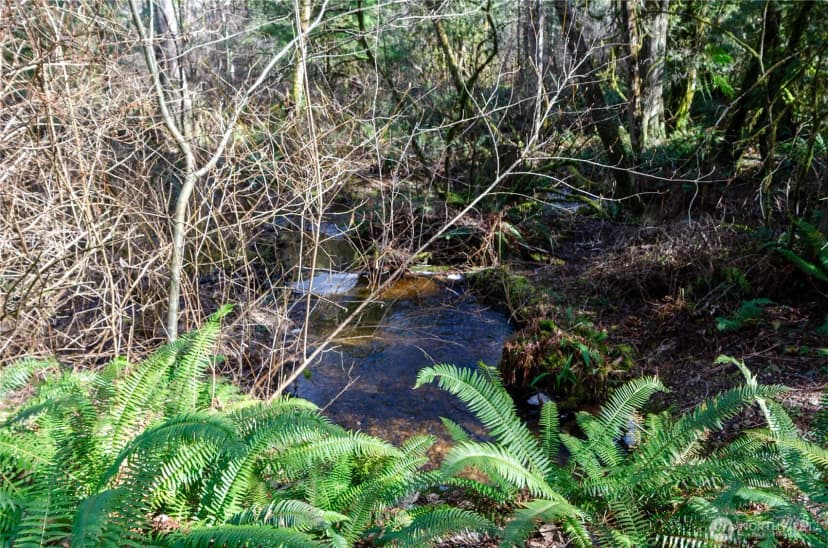 Property photo for 1 Xxx 144th Street Nw, Gig Harbor photo 8