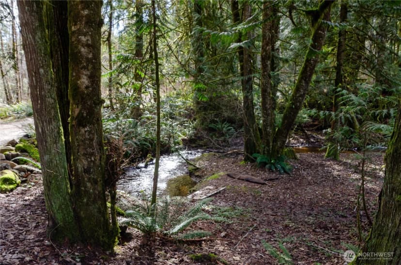Property photo for 1 Xxx 144th Street Nw, Gig Harbor photo 16