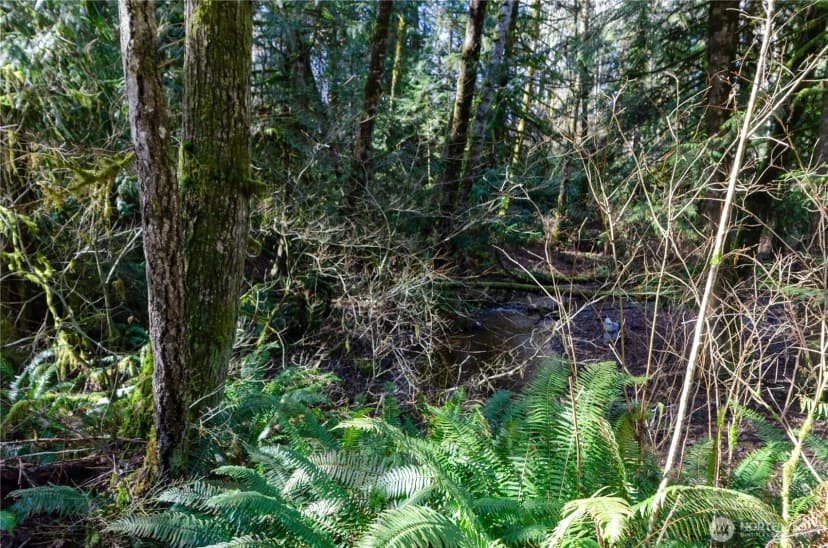 Property photo for 1 Xxx 144th Street Nw, Gig Harbor photo 7