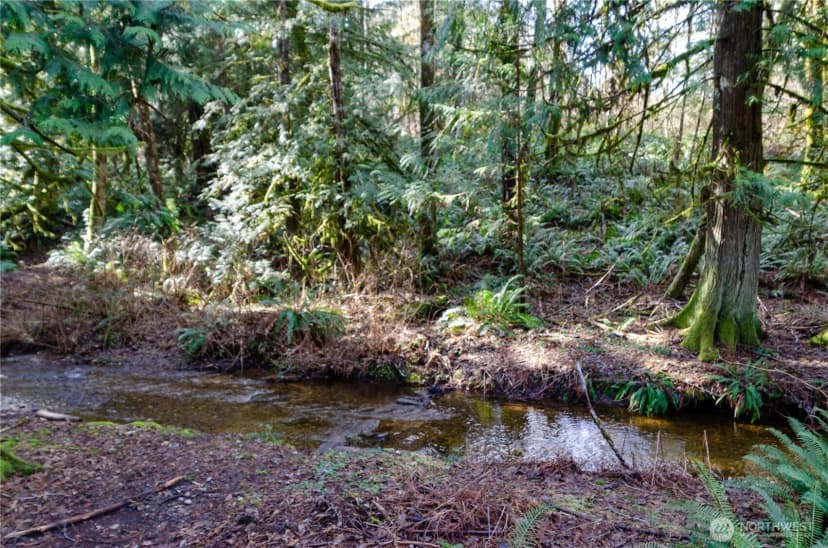 Property photo for 1 Xxx 144th Street Nw, Gig Harbor photo 9