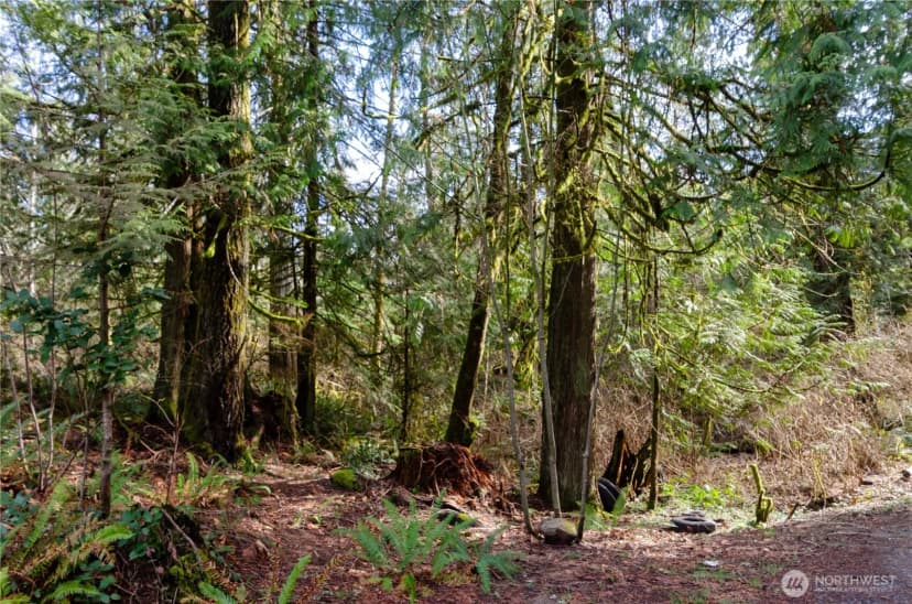 Property photo for 1 Xxx 144th Street Nw, Gig Harbor photo 15