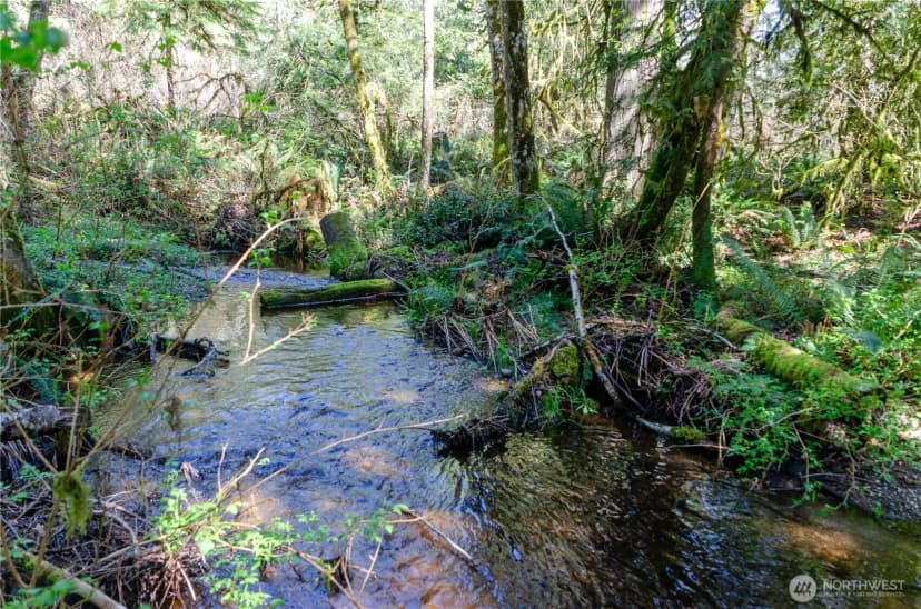 Property photo for 1 Xxx 144th Street Nw, Gig Harbor photo 5