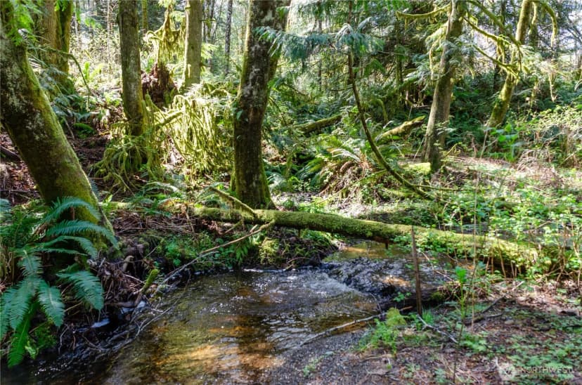 Property photo for 1 Xxx 144th Street Nw, Gig Harbor photo 25