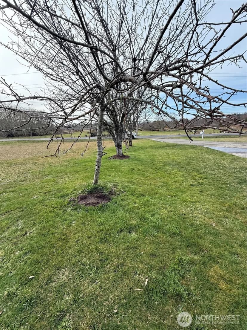 Property photo for 29510 Sandridge Road, Ocean Park photo 36