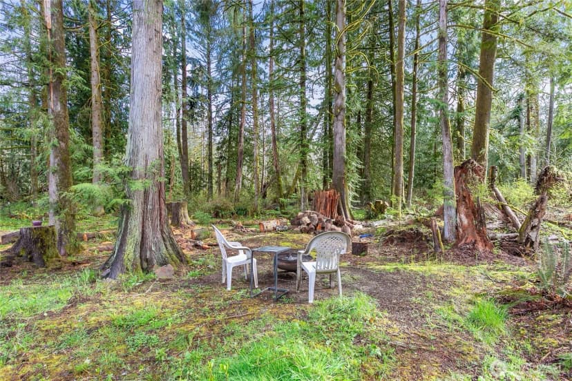 Property photo for 19675 Silver Creek Drive, Sedro Woolley photo 19
