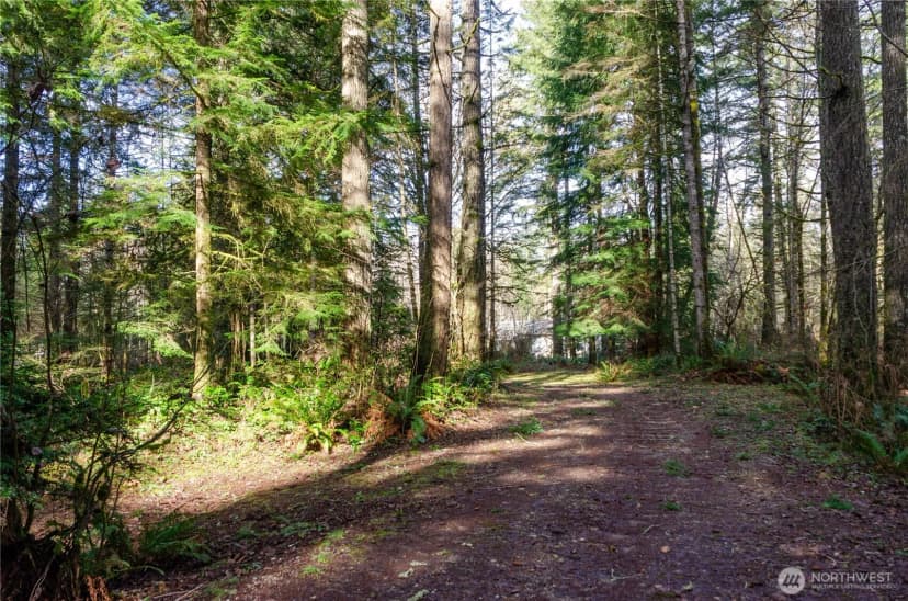 Property photo for 13020 Wright Bliss Road, Gig Harbor photo 5