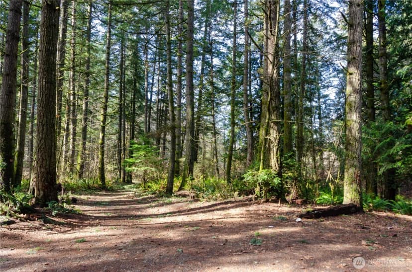 Property photo for 13020 Wright Bliss Road, Gig Harbor photo 9