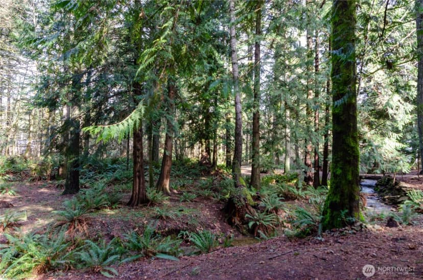 Property photo for 13020 Wright Bliss Road, Gig Harbor photo 10
