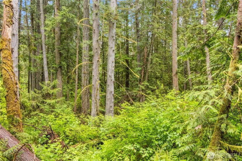 Property photo for 0 Xxx 76th Avenue Nw, Gig Harbor photo 9
