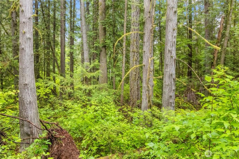 Property photo for 0 Xxx 76th Avenue Nw, Gig Harbor photo 10