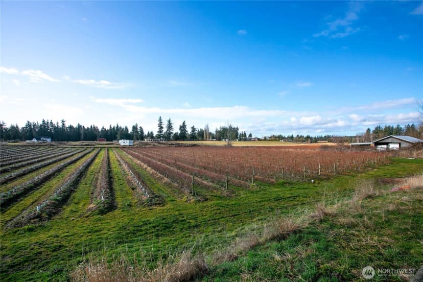 Property photo for 827 Birch Bay Lynden Road, Lynden photo 35