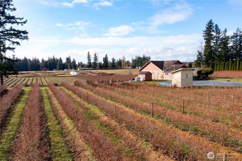 Property photo for 827 Birch Bay Lynden Road, Lynden photo 33