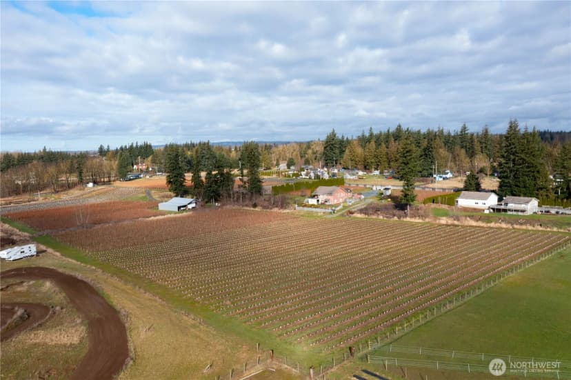 Property photo for 827 Birch Bay Lynden Road, Lynden photo 36