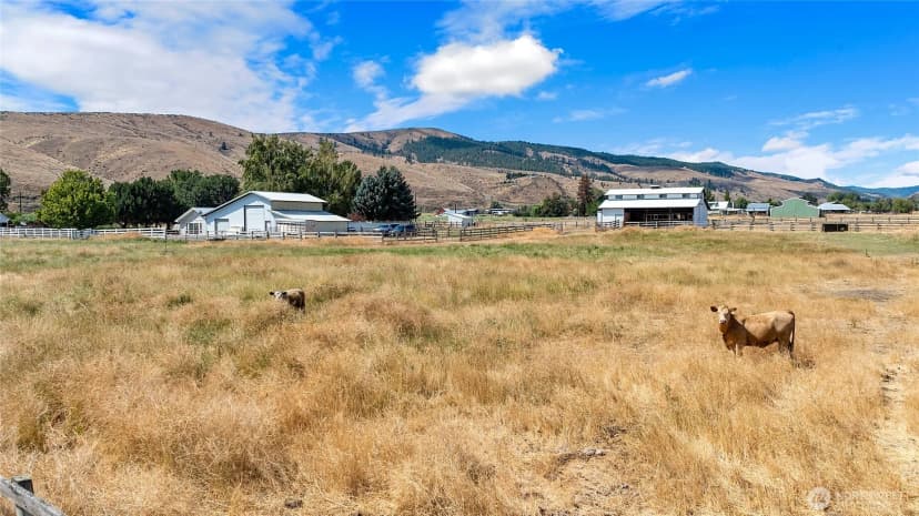 Property photo for 4131 Manastash Road, Ellensburg photo 34