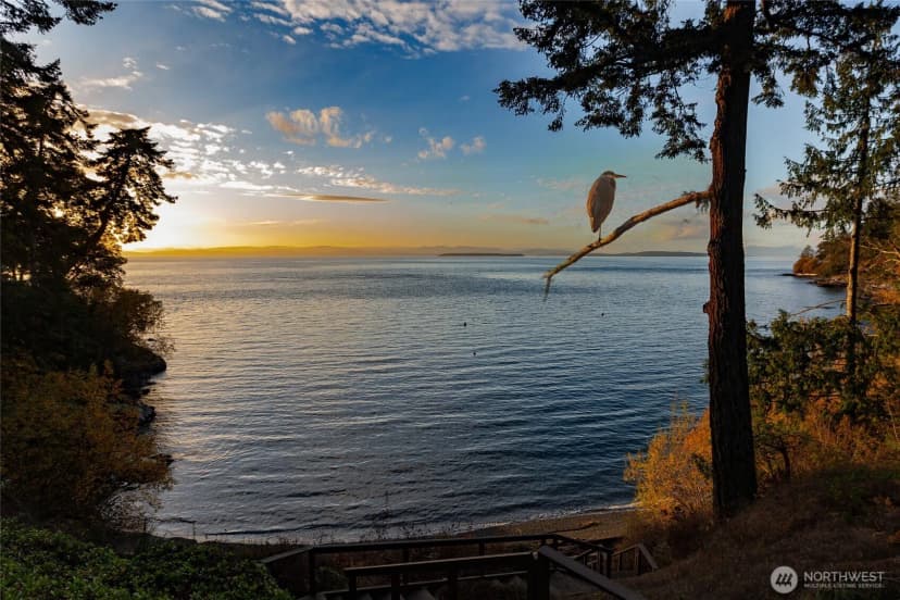 Property photo for 53 Smugglers Cove Road, Friday Harbor photo 36