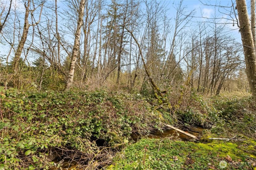 Property photo for 7311 State Route 9, Sedro Woolley photo 31