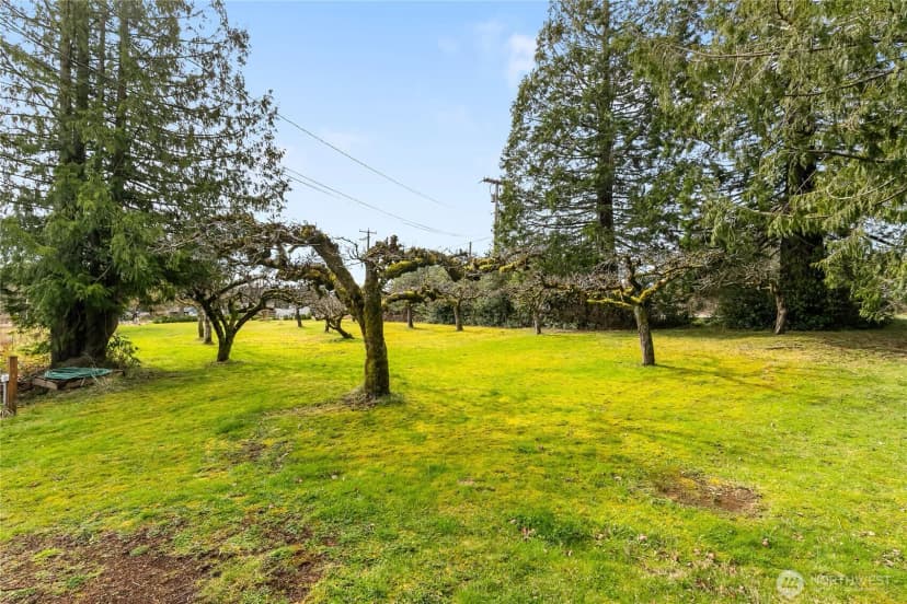 Property photo for 7311 State Route 9, Sedro Woolley photo 32