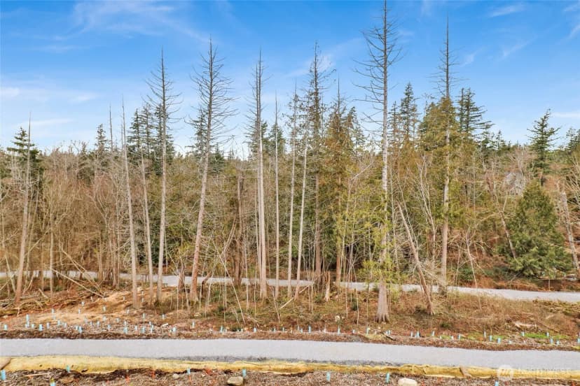 Property photo for 3523 Sussex Drive, Bellingham photo 10