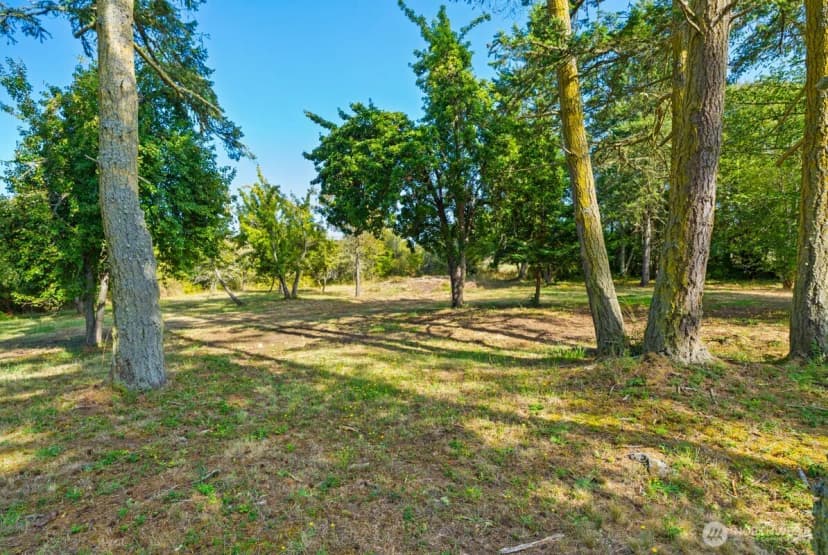 Property photo for 111 Baker Lane, Friday Harbor photo 16