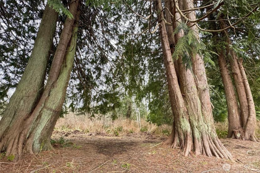 Property photo for 15 Green Belt Drive, Port Angeles photo 24