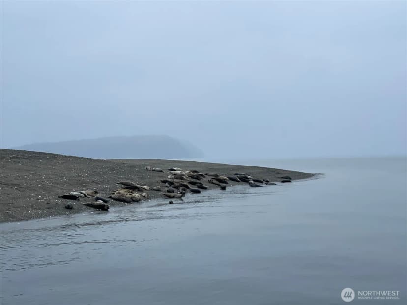 Property photo for 29 K Beach Way, Hat Island photo 19