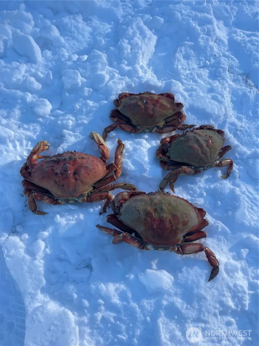 Property photo for 29 K Beach Way, Hat Island photo 28