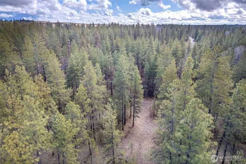 Property photo for 8700 Stangland S, Medical Lake photo 12