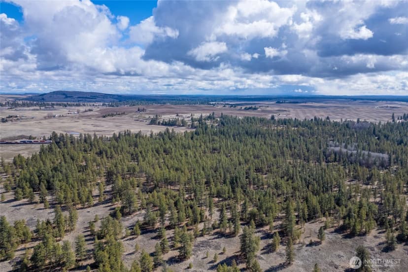 Property photo for 8700 Stangland S, Medical Lake photo 19