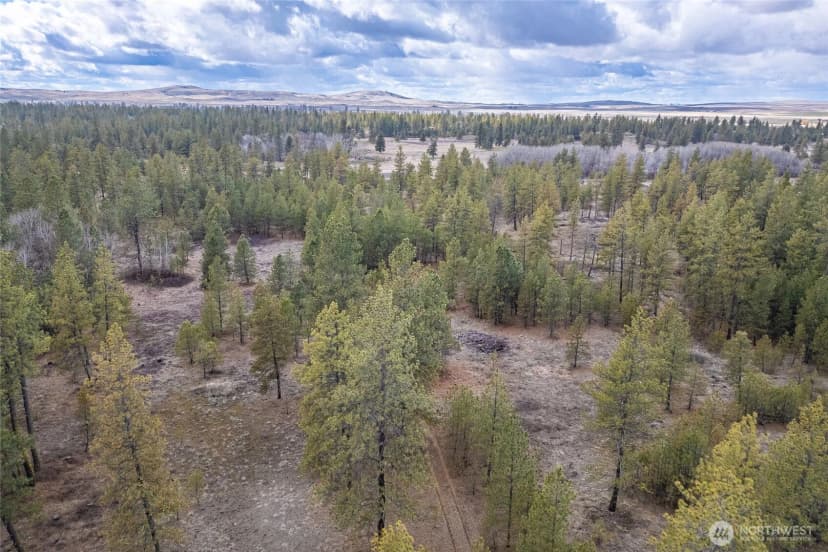 Property photo for 8700 Stangland S, Medical Lake photo 14