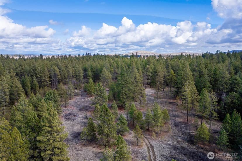 Property photo for 8700 Stangland S, Medical Lake photo 6