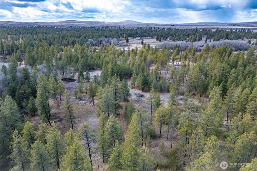 Property photo for 8700 Stangland S, Medical Lake photo 13