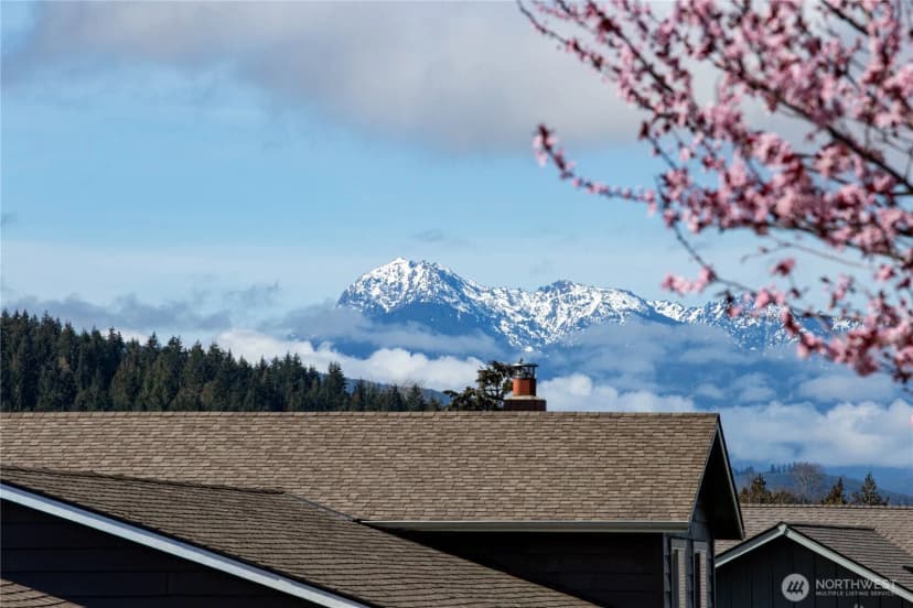 Property photo for 161 Morgison Loop, Sequim photo 30