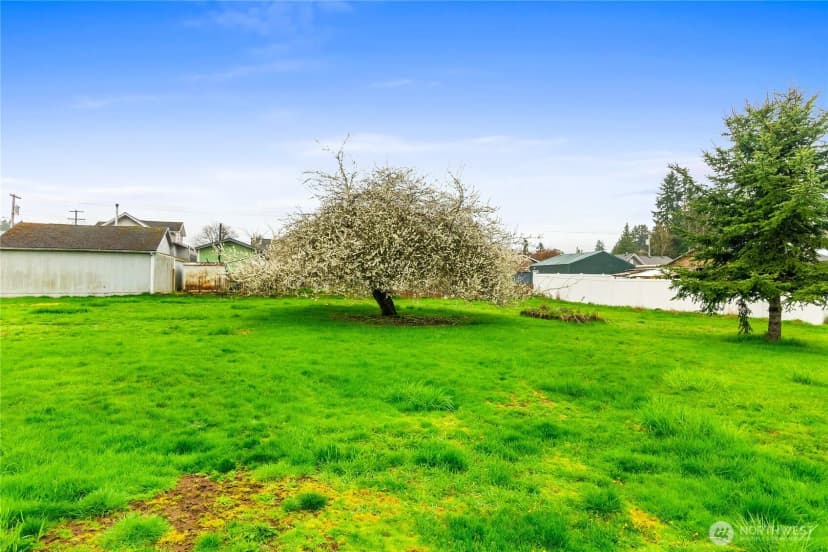 Property photo for 119 N 3rd Street, Pe Ell photo 27