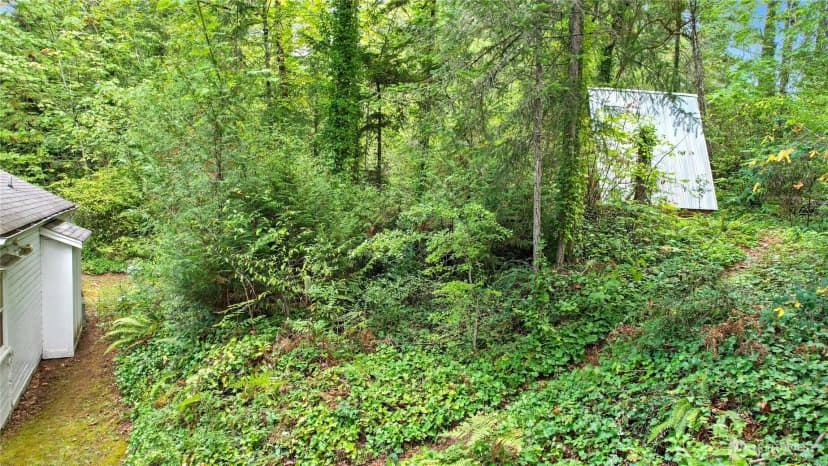 Property photo for 9310 Miller Road, Bainbridge Island photo 33