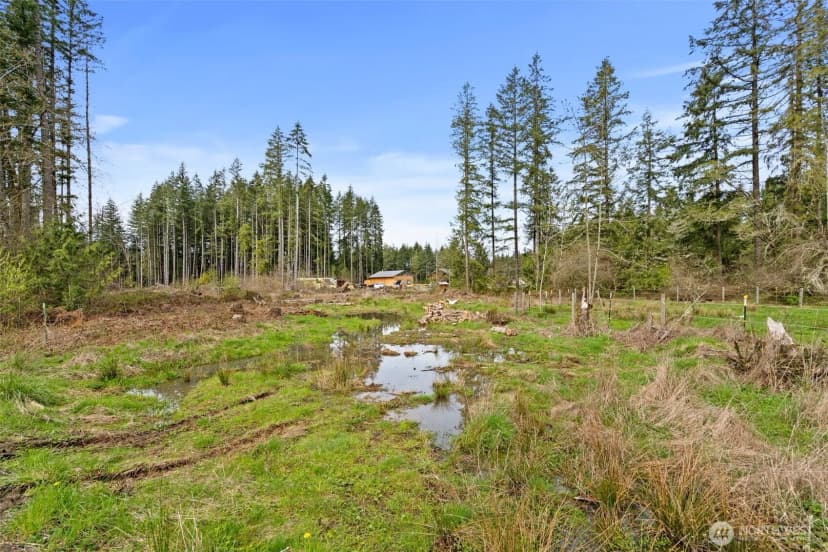 Property photo for 288 Hewitt Road, Chehalis photo 39