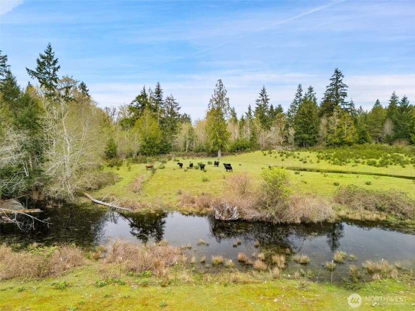 Property photo for 13505 E Victor Road, Gig Harbor photo 35