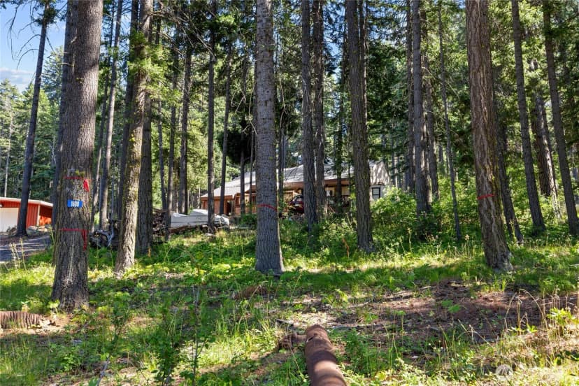 Property photo for 1600 Skull Springs Road, Cle Elum photo 13