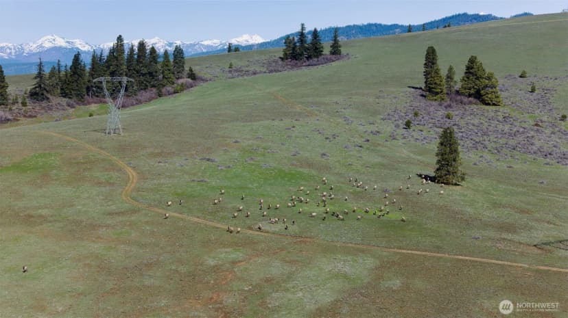 Property photo for 6261 Elk Springs Road, Ellensburg photo 38