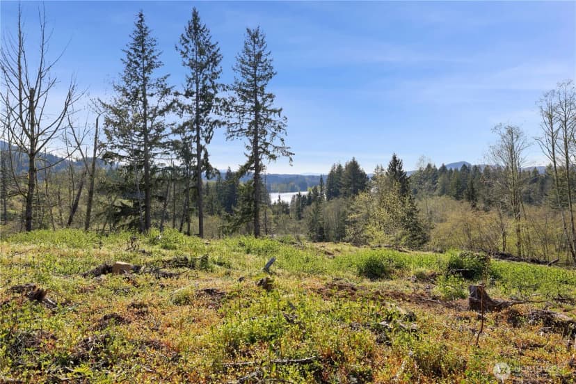 Property photo for 12424 506th Street E, Eatonville photo 34