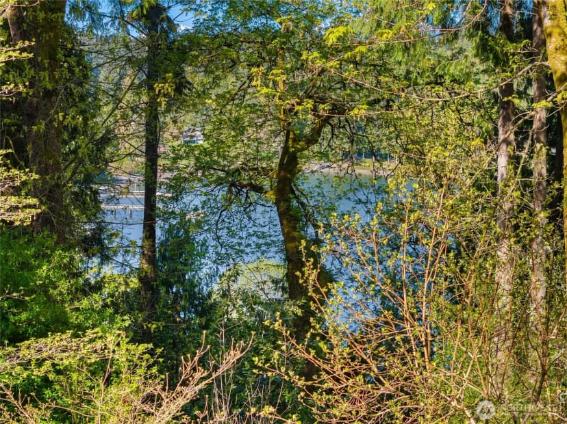 Property photo for 8003 Ne Hidden Cove Road, Bainbridge Island photo 38