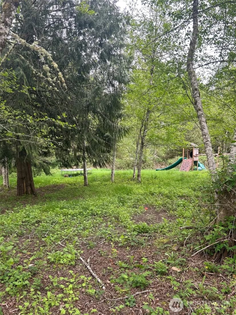 Property photo for 1909 Lake Drive Sw, Lakebay photo 22