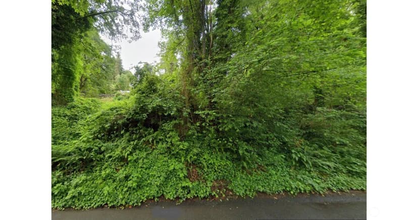 Property photo for 0 E Interlaken Blvd, Seattle photo 4