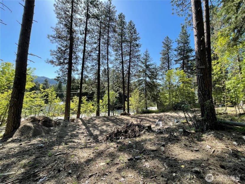 Property photo for 0 Icicle Road, Leavenworth photo 10