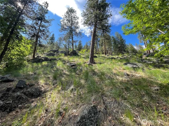 Property photo for 0 Icicle Road, Leavenworth photo 3