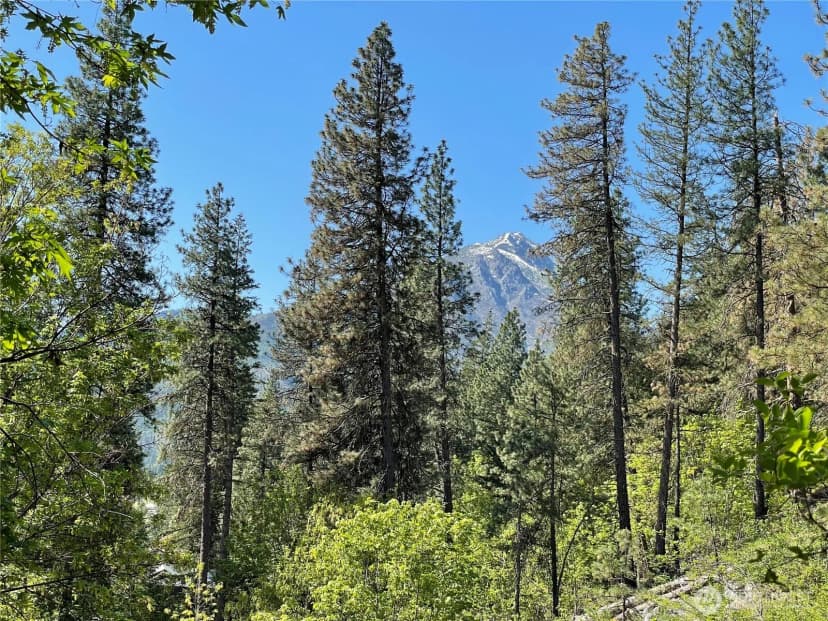 Property photo for 0 Icicle Road, Leavenworth photo 9