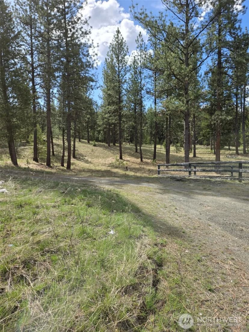 Property photo for 117 Squirrel Road, Tonasket photo 12