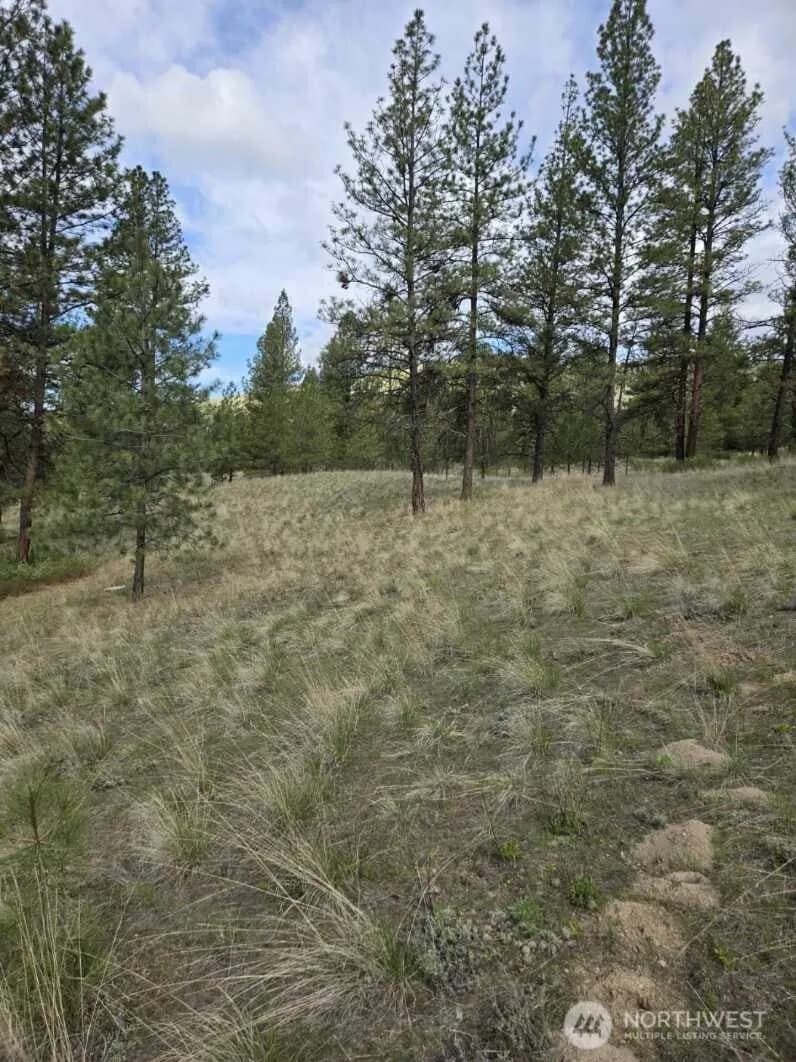 Property photo for 117 Squirrel Road, Tonasket photo 13