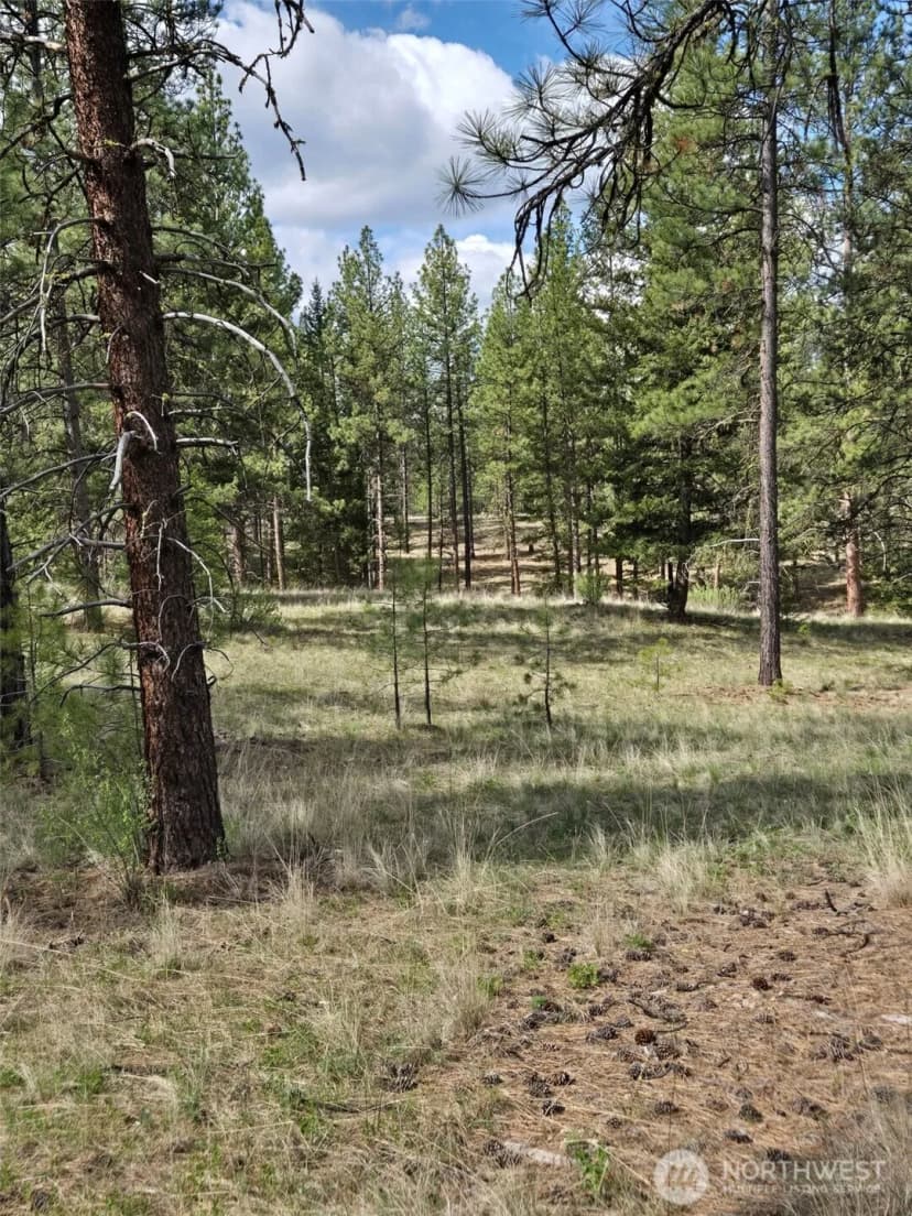 Property photo for 117 Squirrel Road, Tonasket photo 16