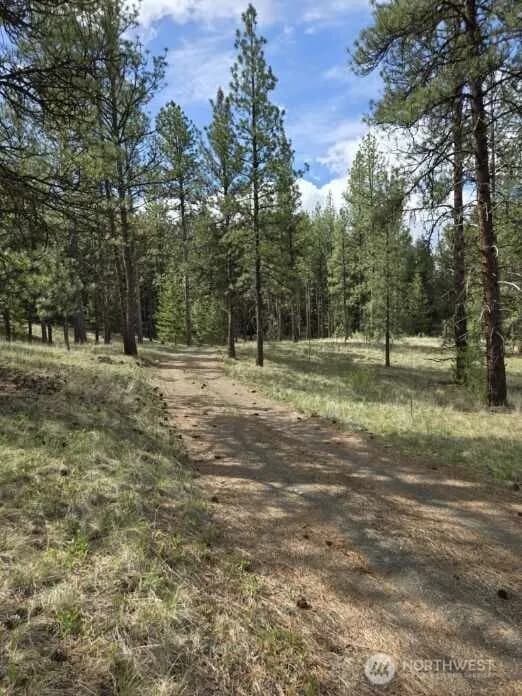 Property photo for 117 Squirrel Road, Tonasket photo 15