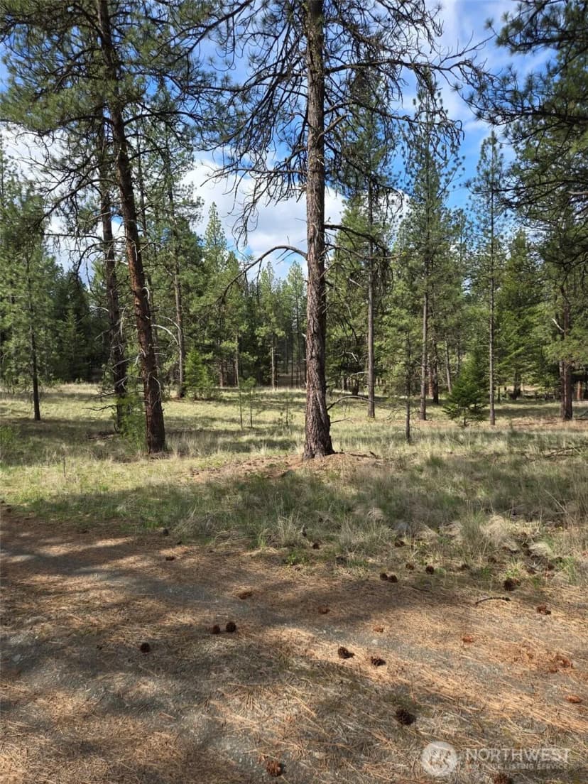 Property photo for 117 Squirrel Road, Tonasket photo 14